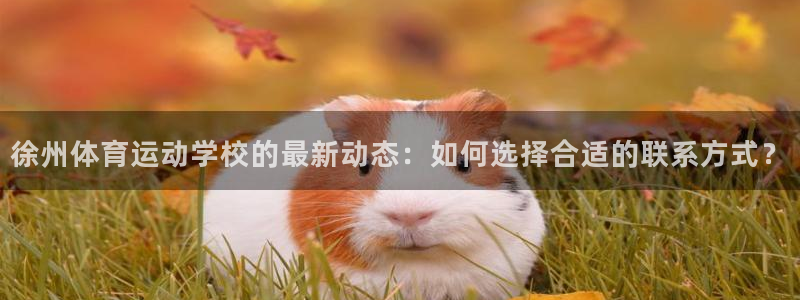 678体育知识