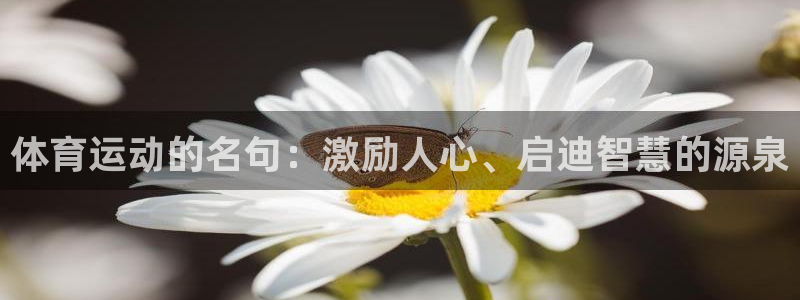 678体育