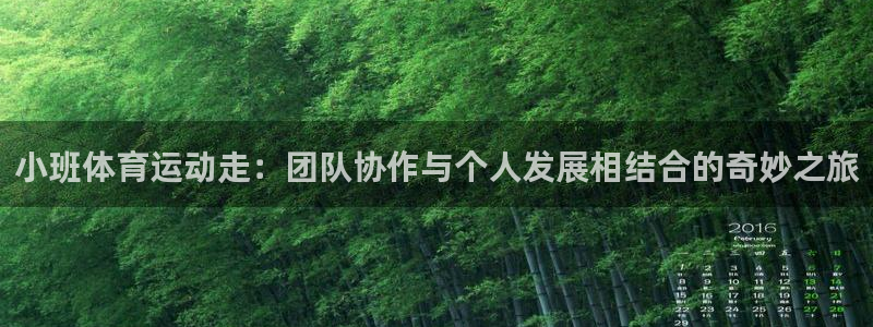678体育：小班体育运动走：团队协作与个人发展相结合的奇妙之旅