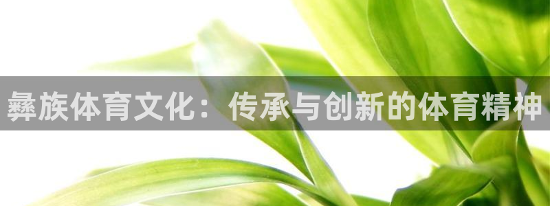 678体育官网下载