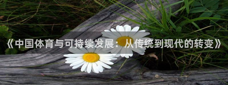 678体育官网：《中国体育与可持续发展：从传统到现代的转变》