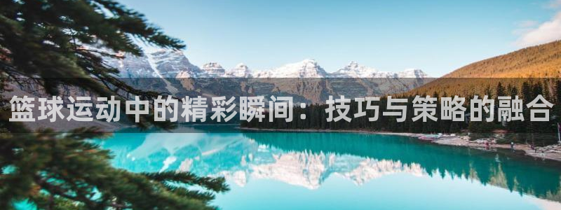 678体育官网地址