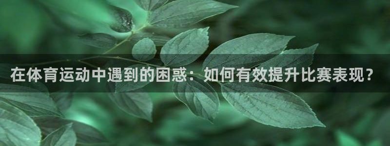 678体育官网地址