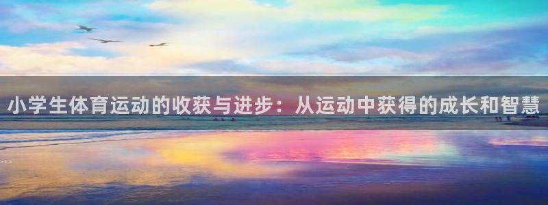 678体育官网