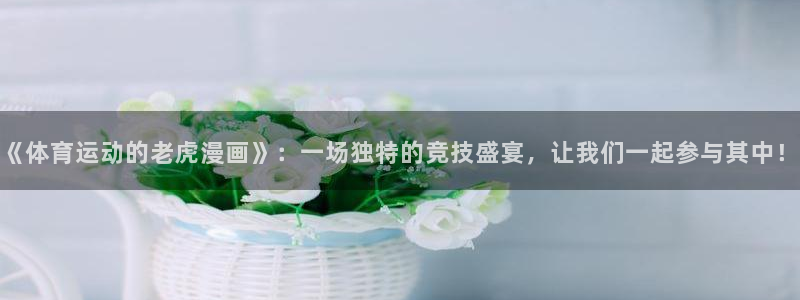 678体育官网地址