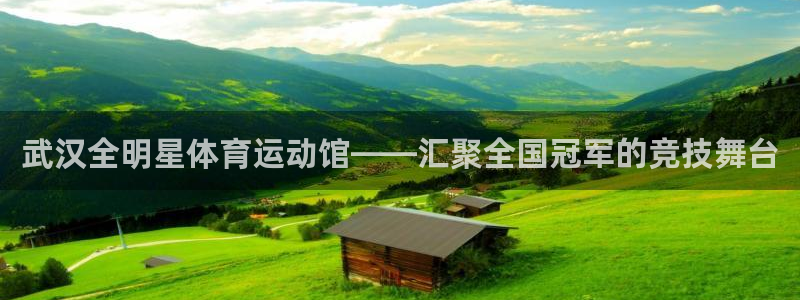 678体育：武汉全明星体育运动馆——汇聚全国冠军的竞技舞台