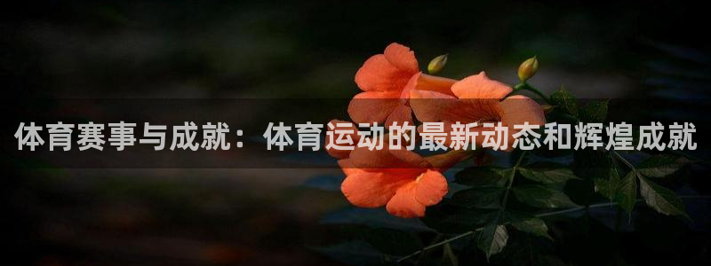 678体育官网：体育赛事与成就：体育运动的最新动态和辉煌成就