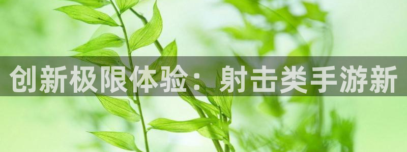 大神吧28预测：创新极限体验：射击类手游新